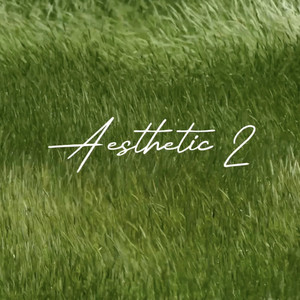 Aesthetic 2