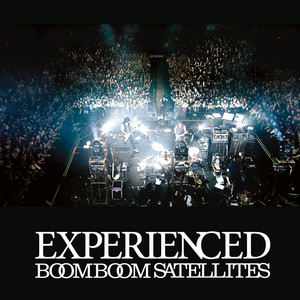 Experienced (Live Version 2010) cover