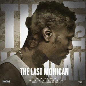 Rob The Whole City by BabyApe, Repossession Rin