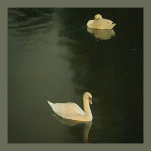 september by Helder Boutens