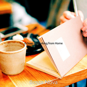 Echoes of Working from Home album