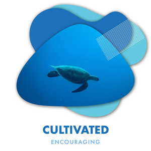 zZz Cultivated Encouraging Ocean Music zZz album