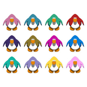 Certified Sorner Boy