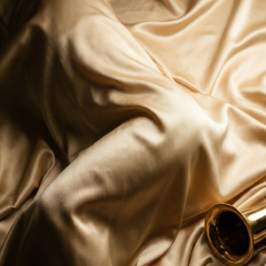 Silk and Shadows by KNOX STEELE