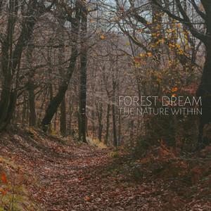 Forest Dream