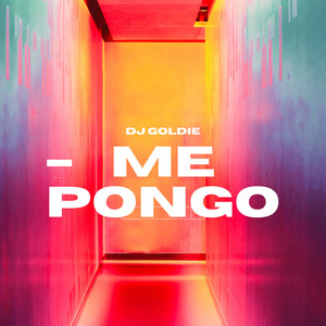 me pongo by DJ Goldie