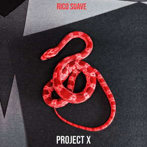 Portada de Project X