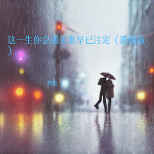 这一生你会遇见谁早已注定 - 遗憾版 by 梦姐