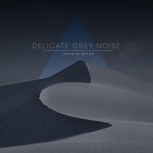 Delicate Grey Noise