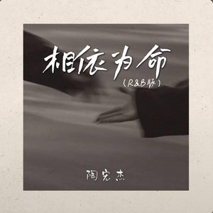 相依为命（R&B版）-陶宏杰 by 啊润-抖音Music