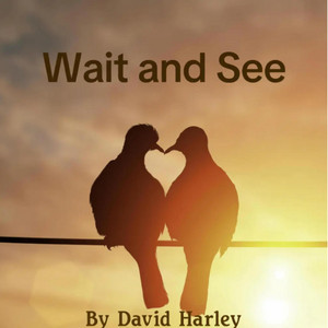 Wait and See by David Harley