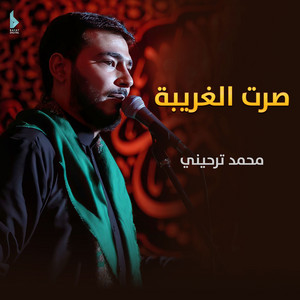 محمد ترحيني - صرت الغريبة