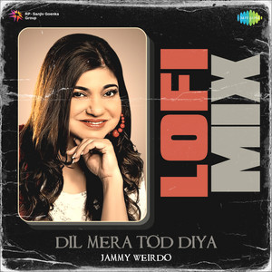 Alka Yagnik, Nadeem Shravan & Sameer - Dil Mera Tod Diya (Lofi Mix)