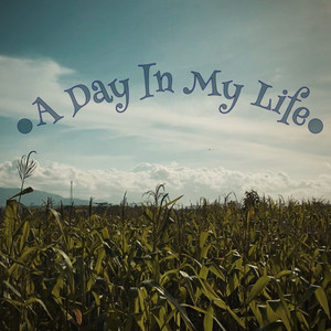 A Day in My Life by Moosi