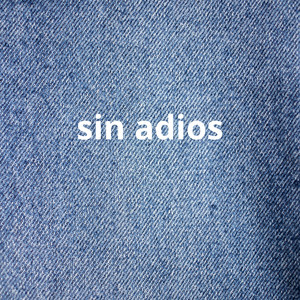 sin adios by blankita