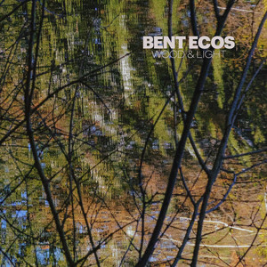 Understory by Bent Ecos