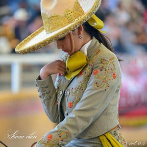Amor Que No Se Rinde by Aliacia villar