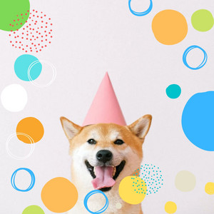 Vintage Background for Resting Dog Moments album