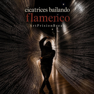 Cicatrices bailando flamenco by Artprisionbreak