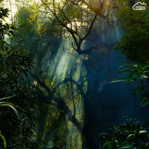 Rain on Earth by Necrem