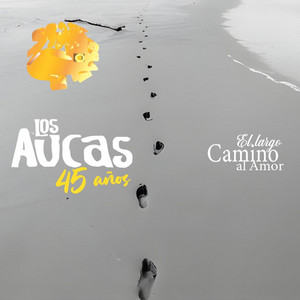 El largo camino al amor