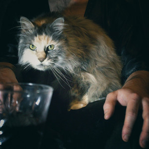 Evil Mastermind