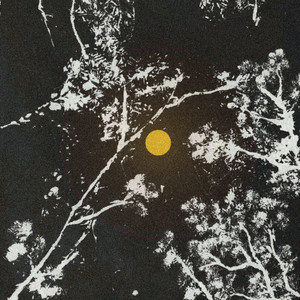 Wahsonta'yeh yändicha' album cover