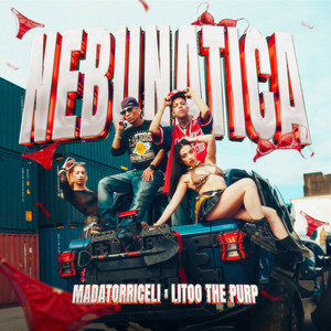 MADATORRICELLI & LiToo The Purp - Nebunatica