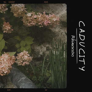 Caducity - Radio Edit by Rhiannon