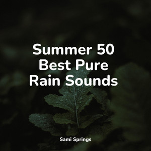 Summer 50 Best Pure Rain Sounds album