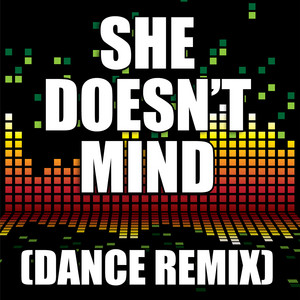 The Re-Mix Heroes - She Doesn't Mind (Dance Remix)