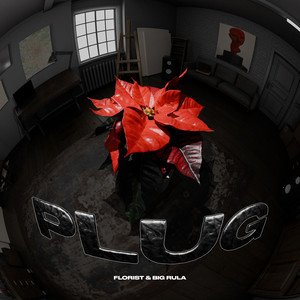 Plug by флорист, Big Rula