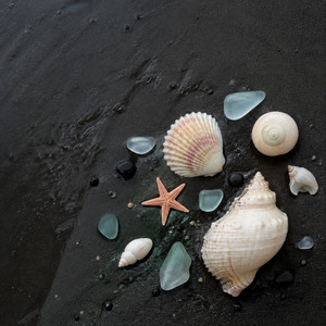 Coral by ARCIMARES