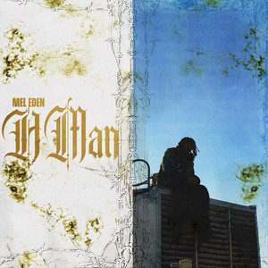FATAL ROMANCE by Mel Eden
