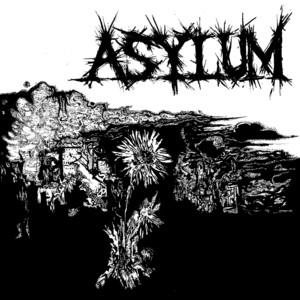 Shitshow by Asylum