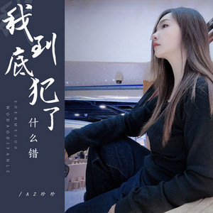 AZ珍珍 - 我到底犯了什么错 (Dj彭锐版)