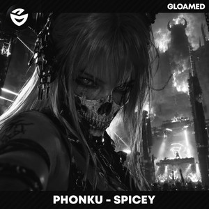 Spicey by Phonku