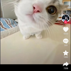 Hira Vũ - Truyền kỳ