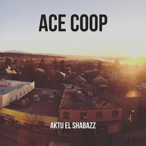Portada de ACE COOP