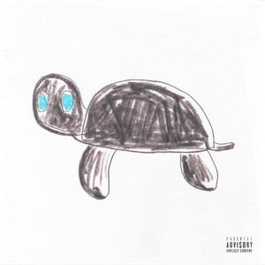 Turtle - DS