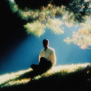 forest between thoughts by lume