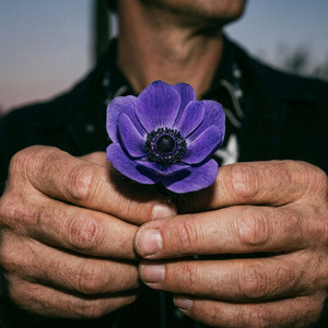 no stranger's land by dark country