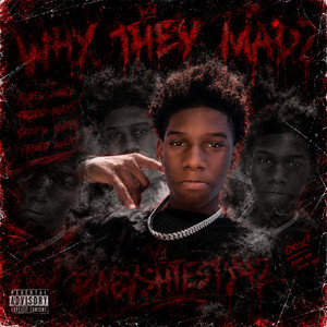 Why they mad¿ by Babyshiesty42