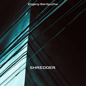 Shredder by Evgeny Bardyuzha
