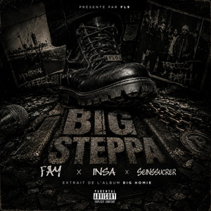 BIG STEPPA by 6SIX6, FAY, INSa, SeinsSucrer