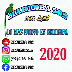 marimba 502 - Feliz Cumpleaños A Ti