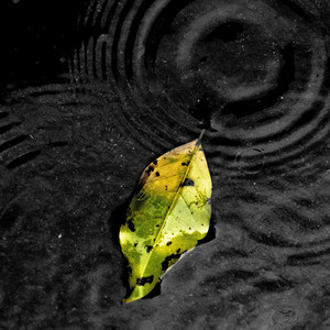 Unresolved Thoughts by Anouki Music