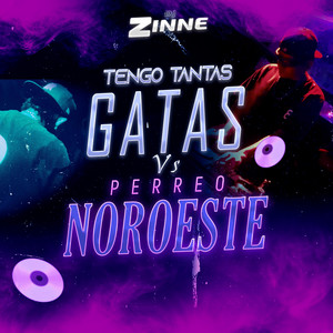 Dj Zinne - MEGA TENGO GATAS VS PERREO NOROESTE