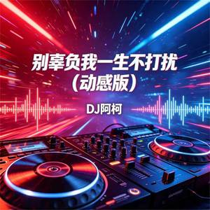 別辜負我一生不打擾（動感版） by DJ阿柯