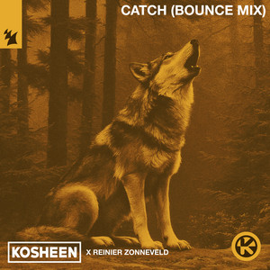 Catch (Bounce Mix) cover art